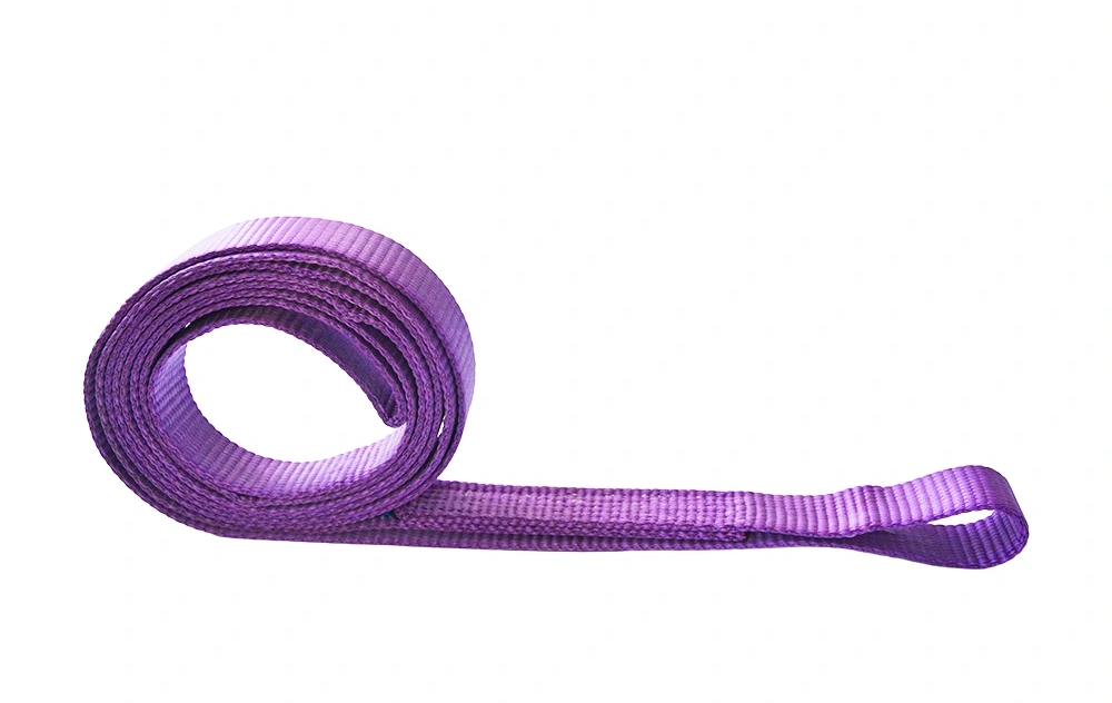 1 ton 30mm purple flat endless lifting webbing sling en 1492 1 sf 7:1